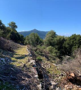 Landscape &amp; Terrain