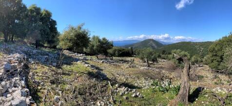 Panoramic view