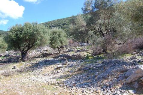Landscape &amp; Terrain