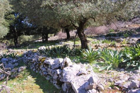 Landscape &amp; Terrain