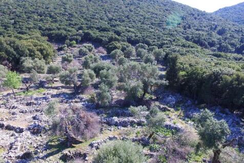 Aerial view of land