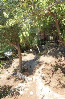 Garden area