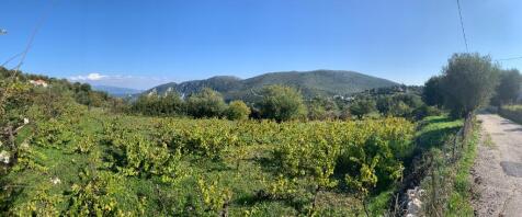 Panoramic view