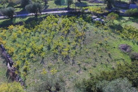 Aerial view of plot