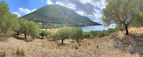 Panoramic view