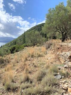 Terrain of property