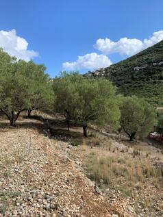 Terrain of property