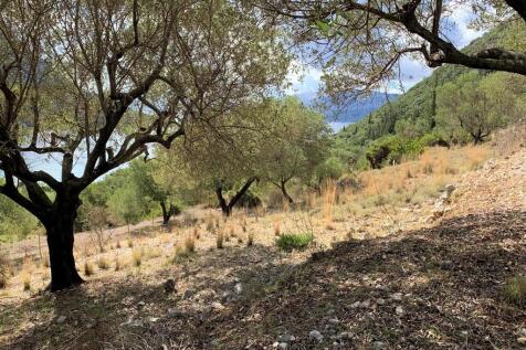 Terrain of property