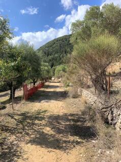 Terrain of property