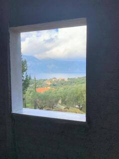 Views from house