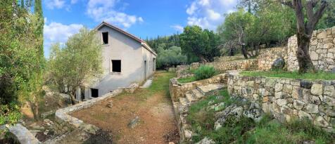 Panoramic view