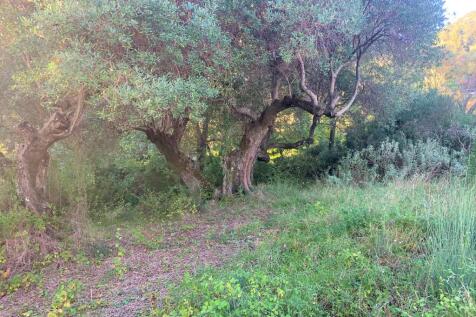 Terrain of property