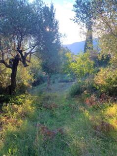 Terrain of property