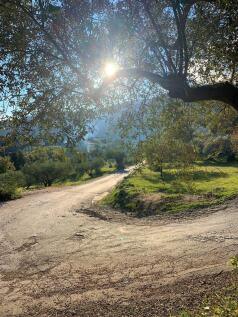 Terrain of property