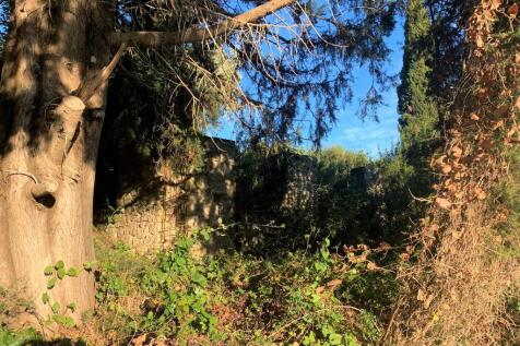 Views from land