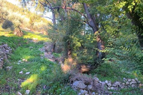 Terrain of property