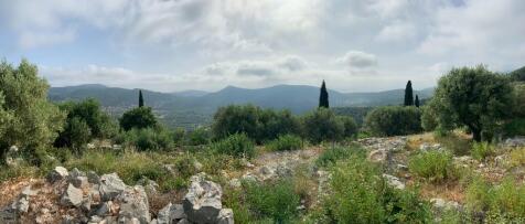 Panoramic view