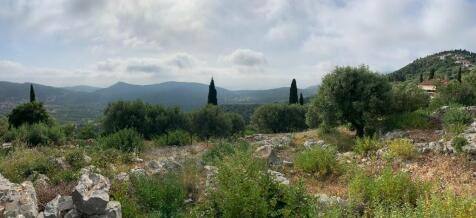 Panoramic view