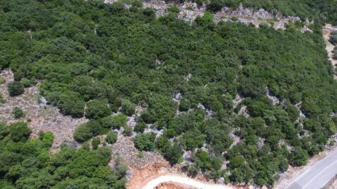Aerial views