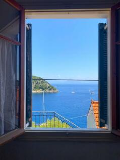 Window views