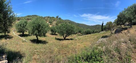 Panoramic view