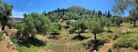 Panoramic photo