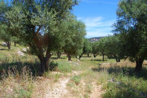 Landscape &amp; Terrain