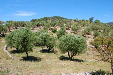 Landscape &amp; Terrain