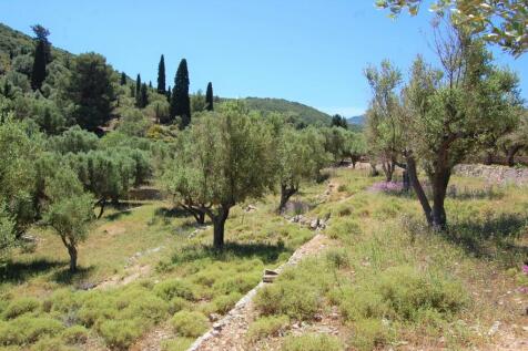 Landscape &amp; Terrain