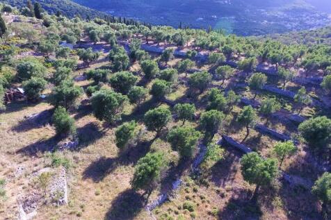 Aerial views 