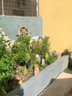 Garden area