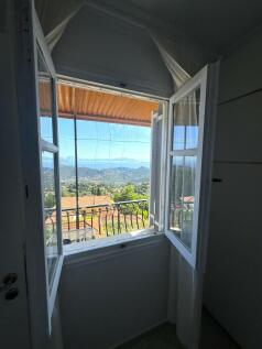Window view