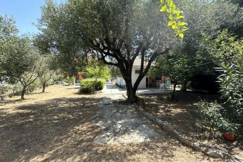 Garden and house