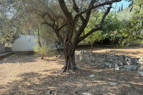 Garden and house