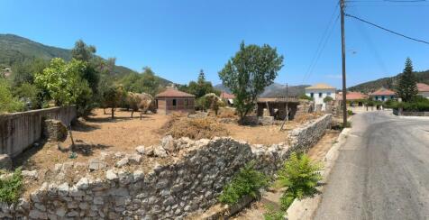 Panoramic view