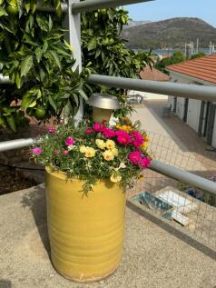 Terrace detail