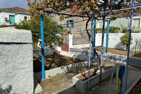 Garden of house