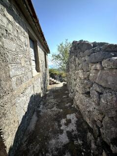 Back of the house
