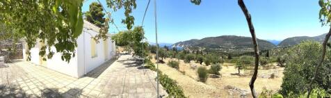 Panoramic view
