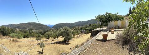 Panoramic view