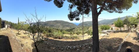 Panoramic view