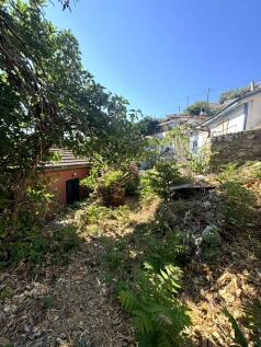 Garden views
