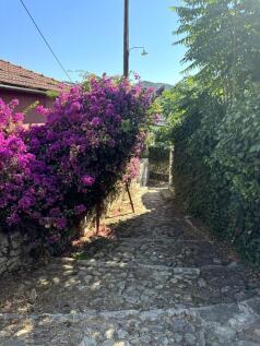 Access path