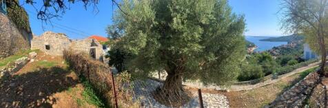Property panoramic