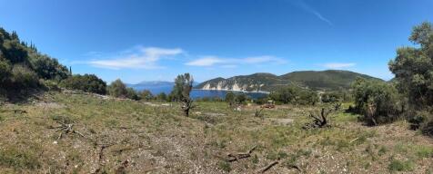 Panoramic view