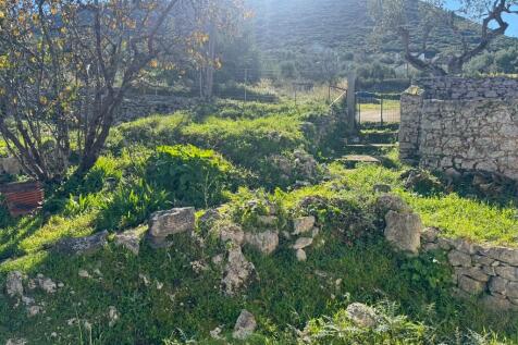 Garden area