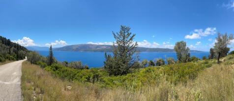 Panoramic view