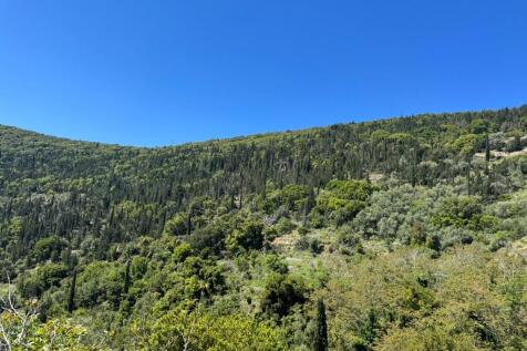 Mountain views