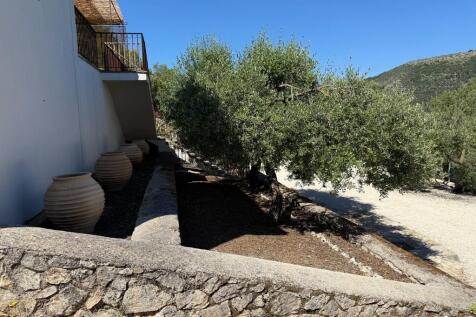 Garden area