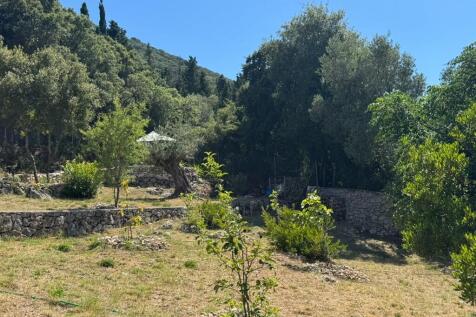 Garden area